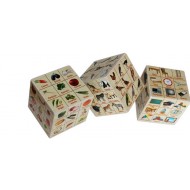 Anindita Learning Cube Advanced